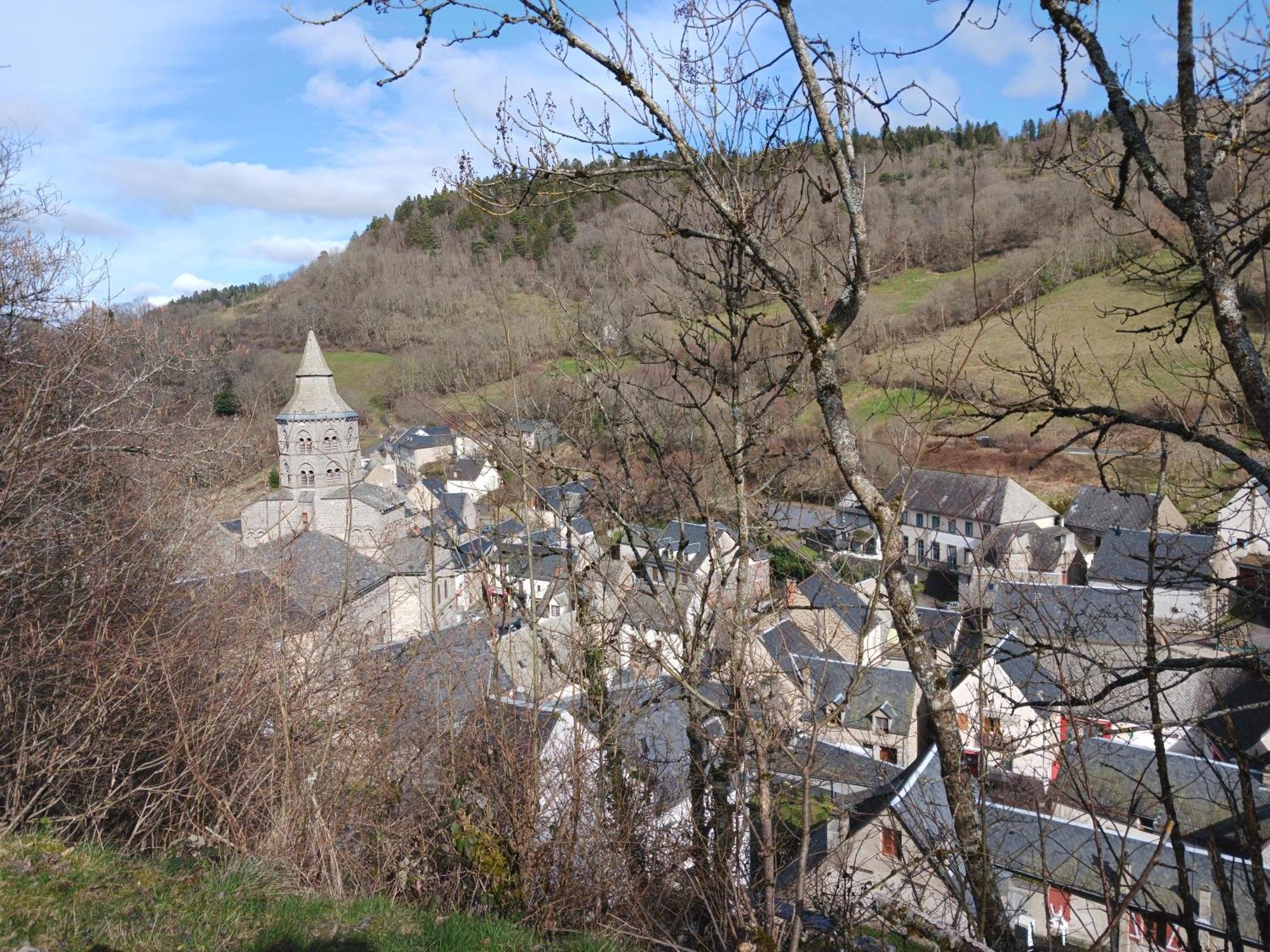 Gite Les Bois Orcival Esterno foto